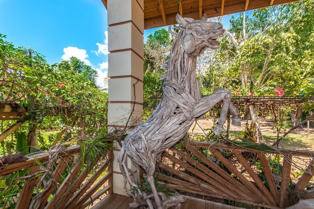 Dream Valley Belize Teakettle Village Экстерьер фото