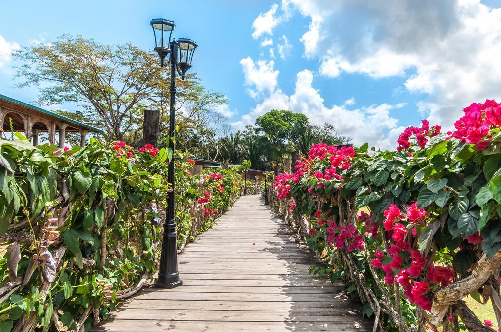 Dream Valley Belize Teakettle Village Экстерьер фото