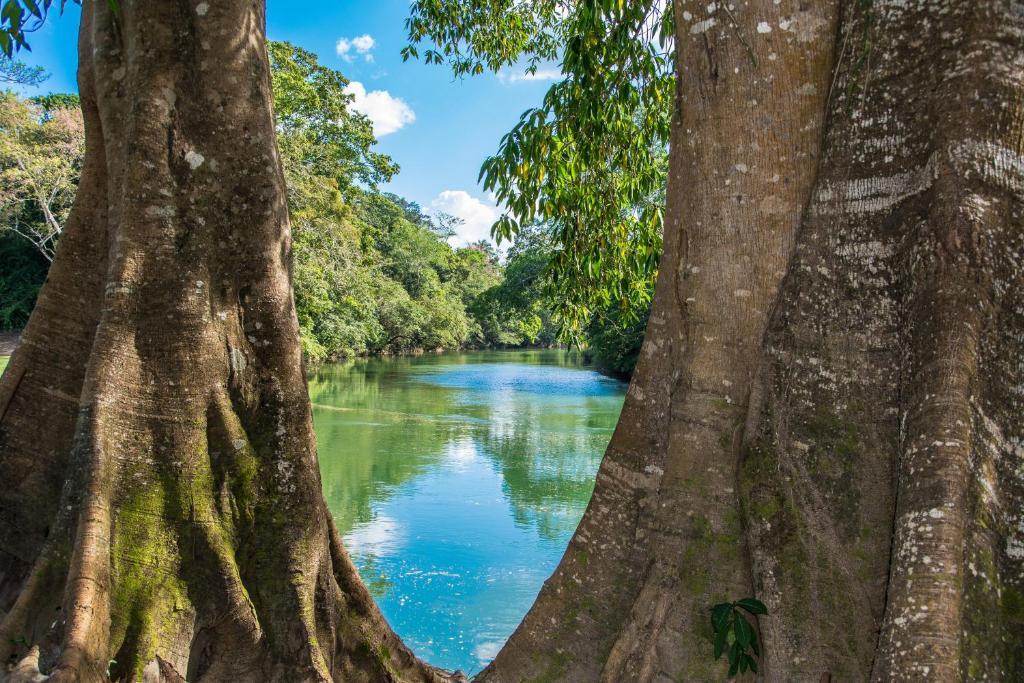 Dream Valley Belize Teakettle Village Экстерьер фото